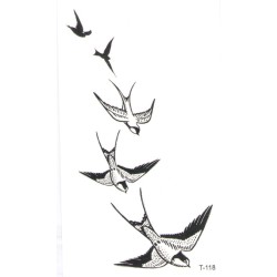 Swallow
