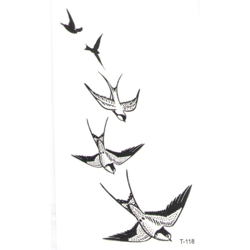 Swallow