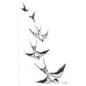 Swallow