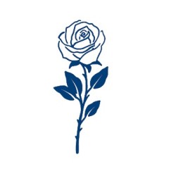 Rose Klebetattoo