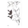 World Map